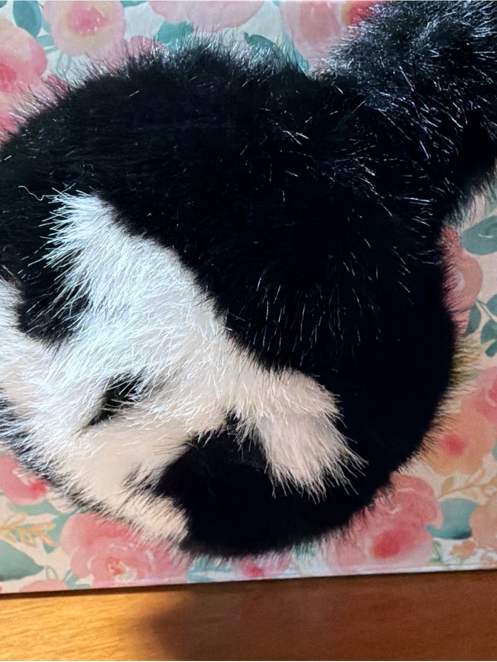 Black & White Cozy Hideaway - Plush Fur Earmuffs